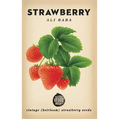 Strawberry 'Ali Baba' Heirloom Seeds