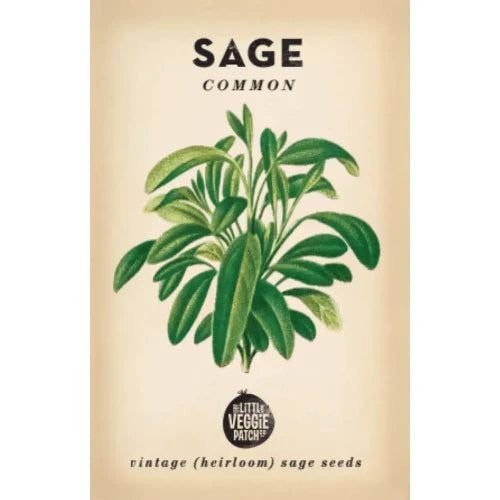 Sage 'Common' Heirloom Seeds
