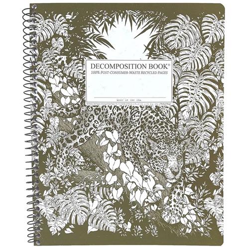 Jaguar Decomposition Notebook