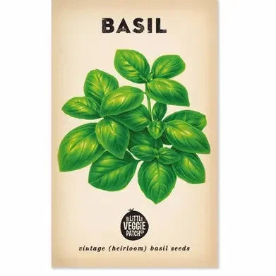 Basil 'Large Sweet Genova' Heirloom Seeds