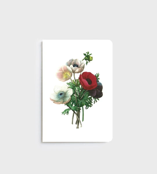 Notebook - Anemone