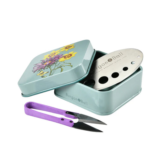 Bespoke Plants - Asteraceae Herb Set