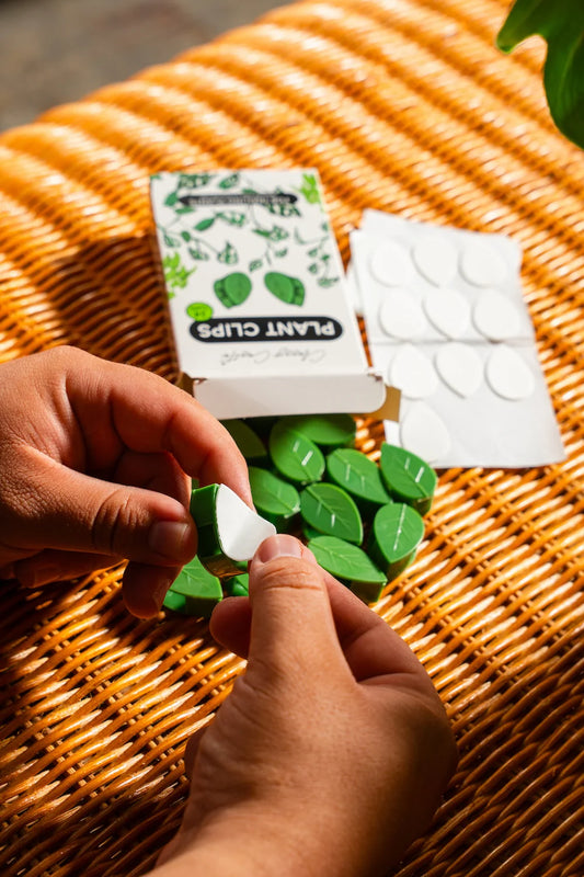 Bespoke Plants - Plant Wall Clips