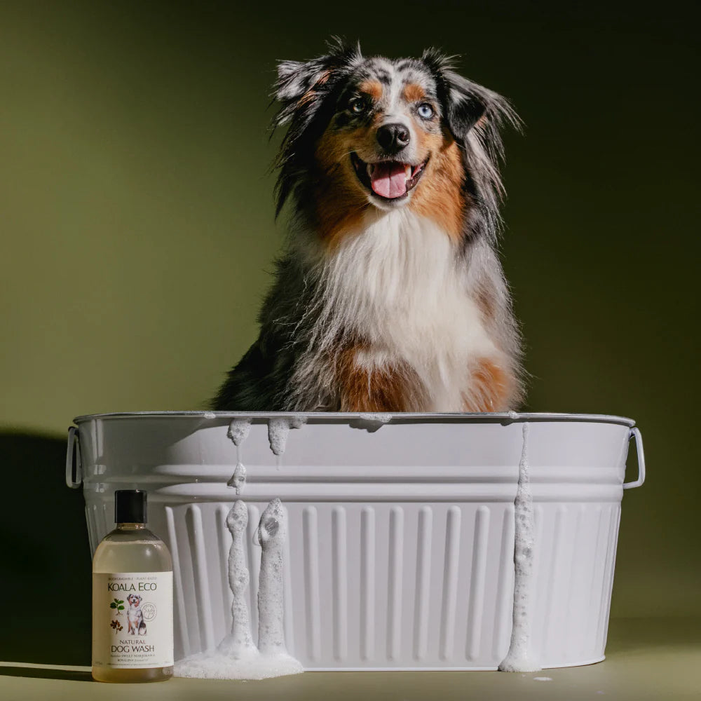 Dog Wash - Koala Eco