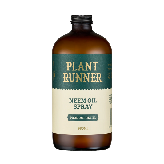 Bespoke Plants - Plant Runner Neem