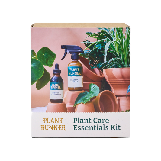 Bespoke Plants - Plant Runner Gift Set