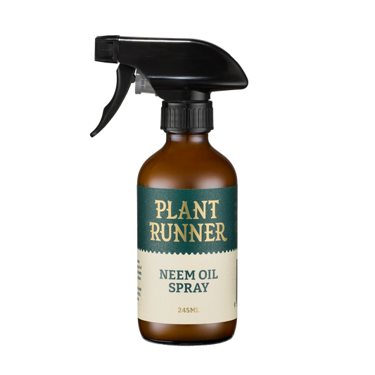 Bespoke Plants - Plant Runner Neem