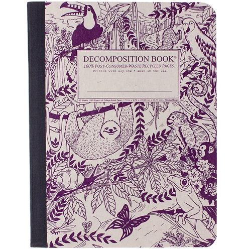 Rainforest Decomposition Notebook