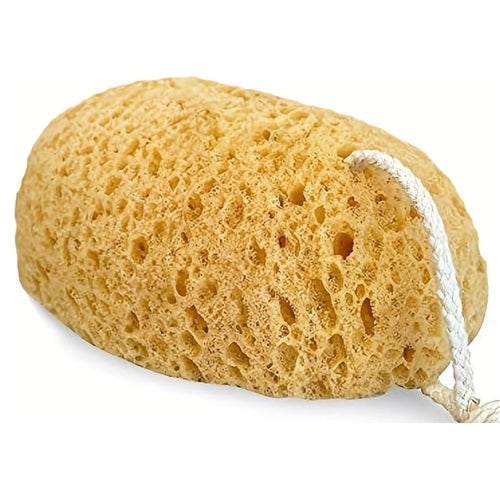 Body Sponge