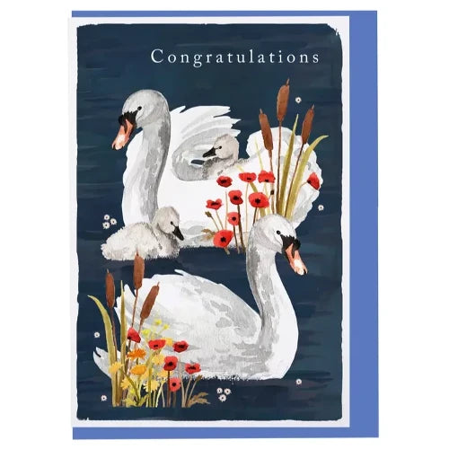 'Congratulations' Baby Swans Card
