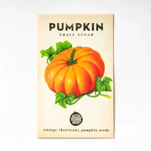 Pumpkin 'Small Sugar' Heirloom Seeds