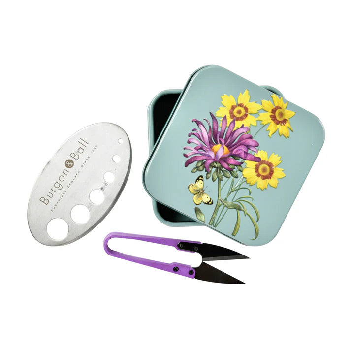 Bespoke Plants - Asteraceae Herb Set