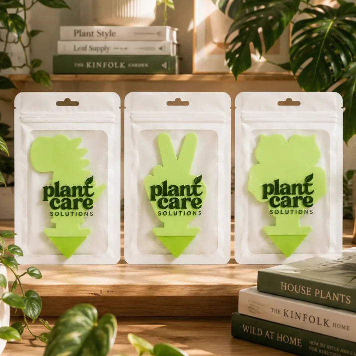 Bespoke Plants - Gnat Traps