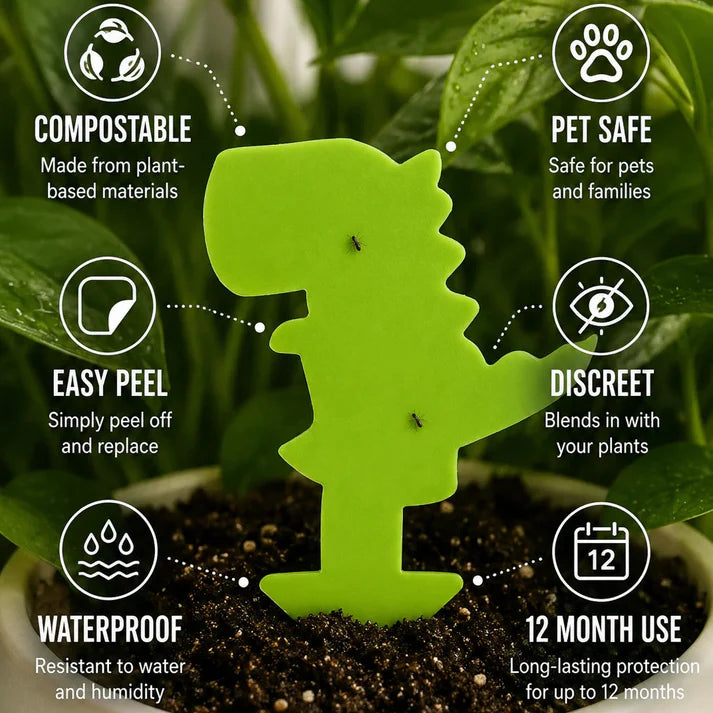 Bespoke Plants - Gnat Traps