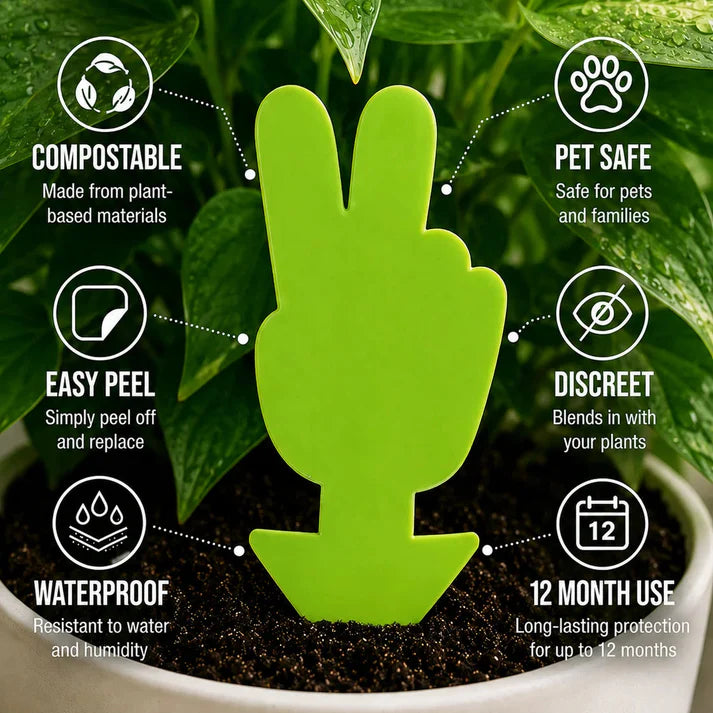 Bespoke Plants - Gnat Traps