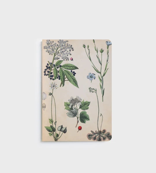 Notebook - Field Botany