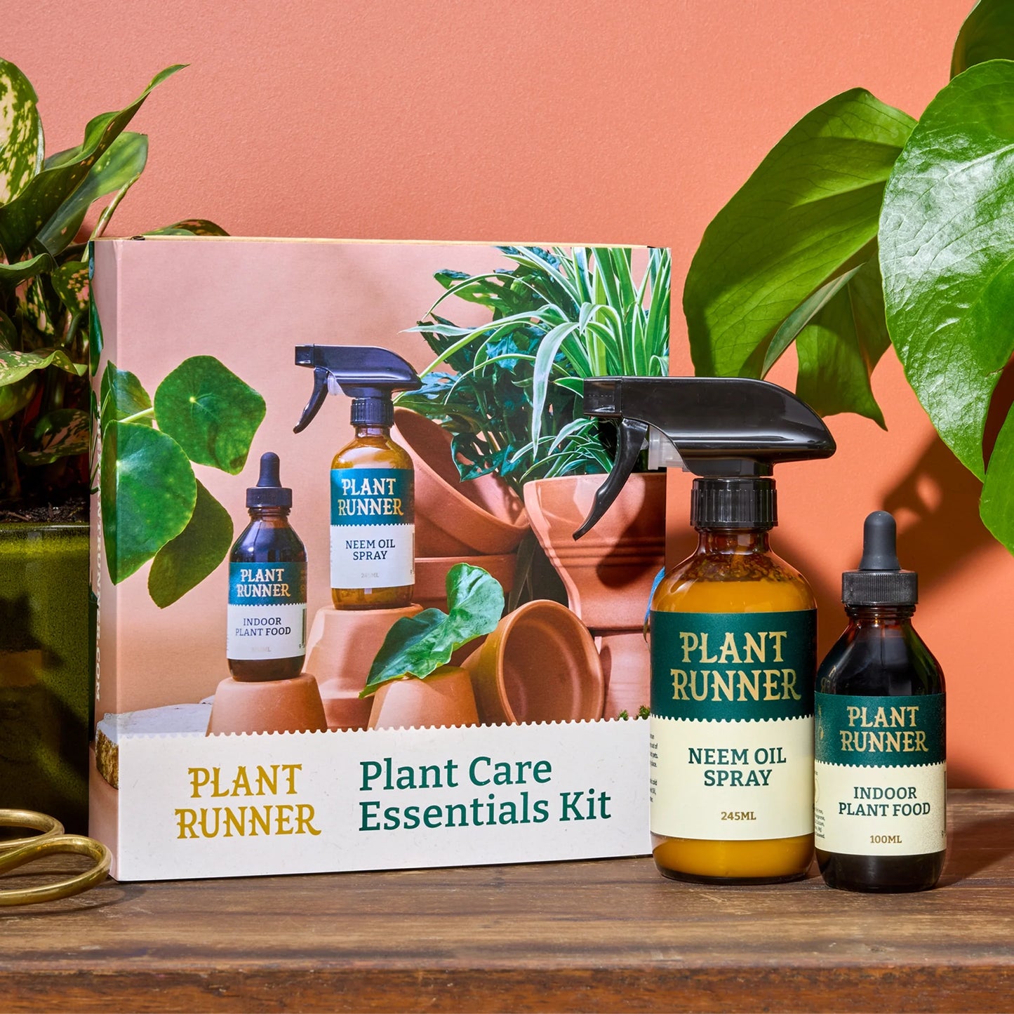 Bespoke Plants - Plant Runner Gift Set
