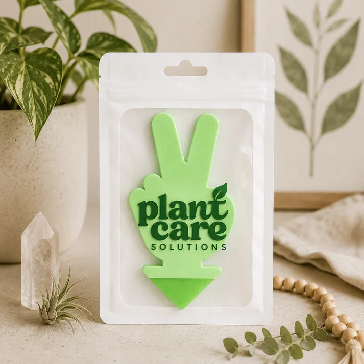 Bespoke Plants - Gnat Traps