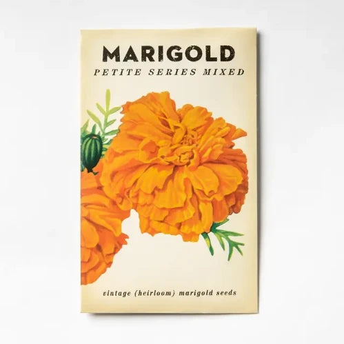 Marigold 'Petite Series Mixed' Heirloom Seeds