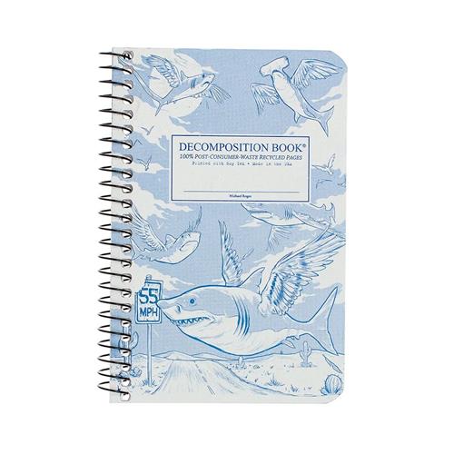 Flying Sharks Decomposition Notebook