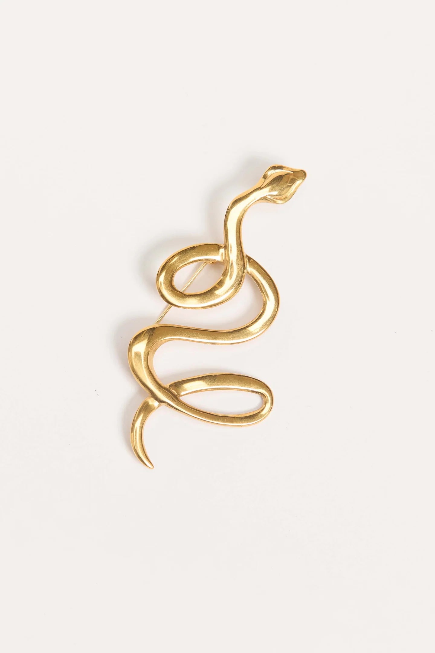 Serpent Brooch