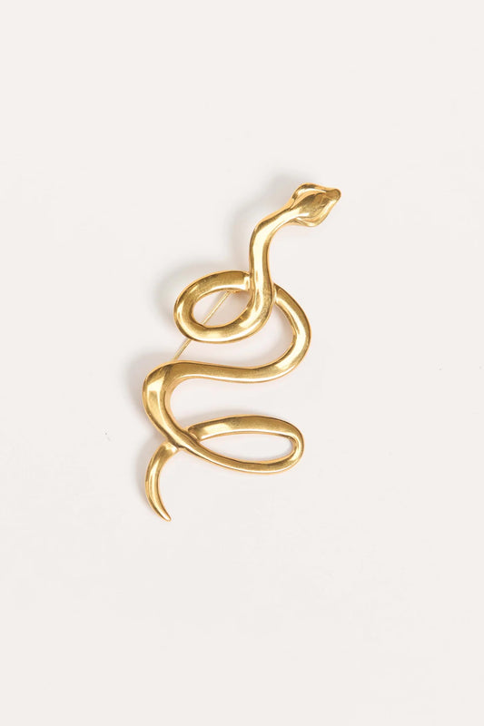 Serpent Brooch